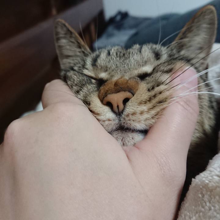 7ed38cc2 3573 43f3 a7cb ad238db19238 1577002955937