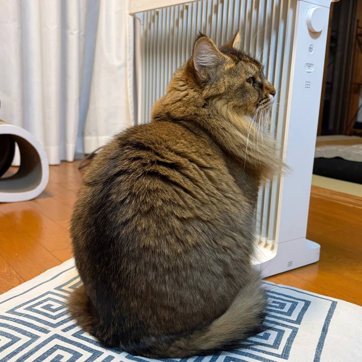 7ed4002f 6b53 4b2b 9c4c f7d87ffa568d 1768429433230