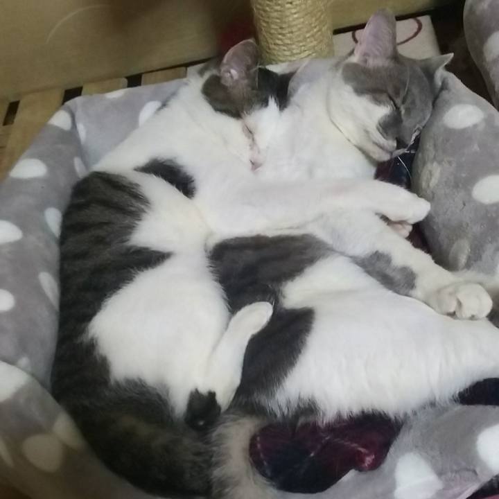 7ed41c4c c326 4e9f b6ec 9d4a278f2931 1515426500614