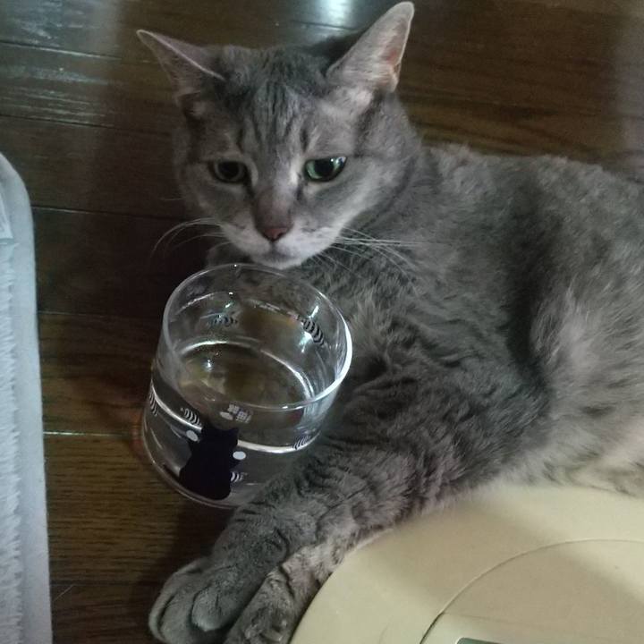 7ed43063 d56c 4f6f a35f 4ec336322494 1659398447043