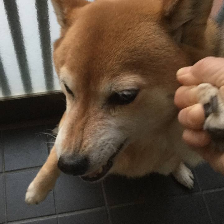 7ed431ad 92c8 4176 af18 50e733e7360b 1614240852103