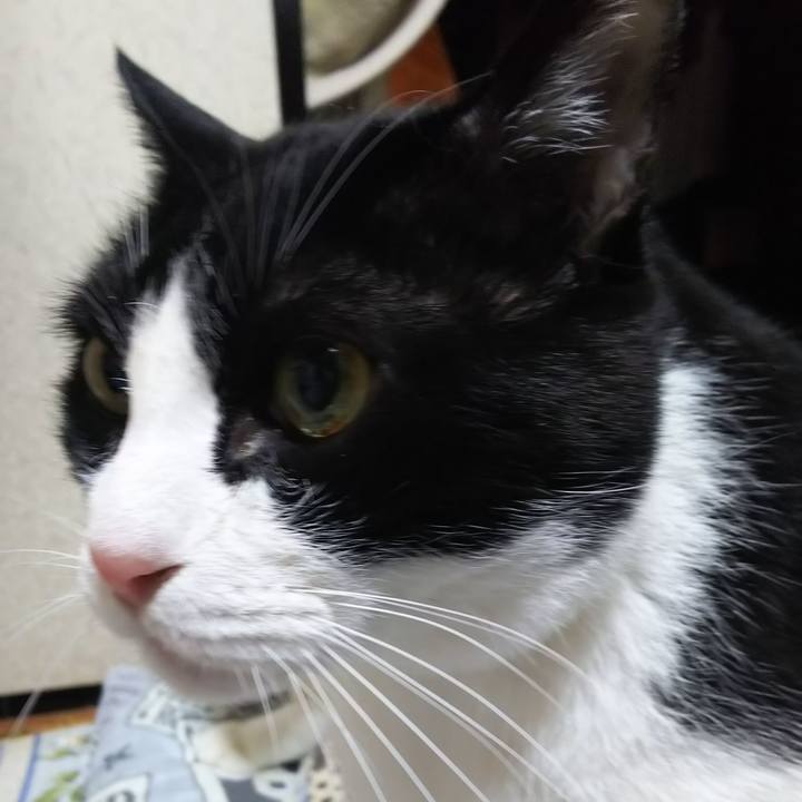 7ed432a1 db2a 466f 80aa 2c9c86f9391e 1576619862536