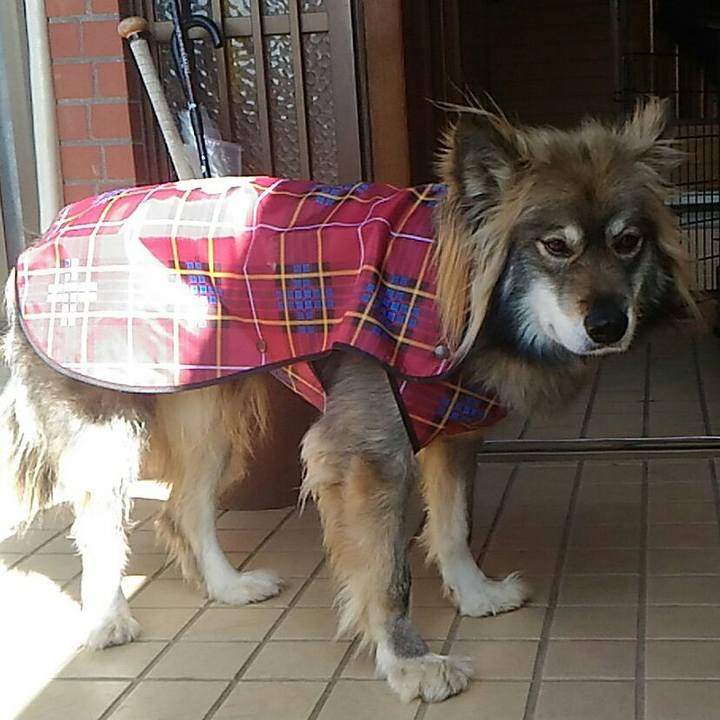 7ed4467c fd36 44d8 882c cd2d3992ab44 1519816406714