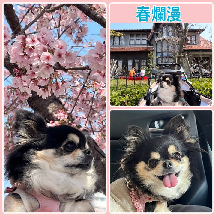 7ed44d97 1c34 40af 806c 0ae8a7ee983d 1710567795865