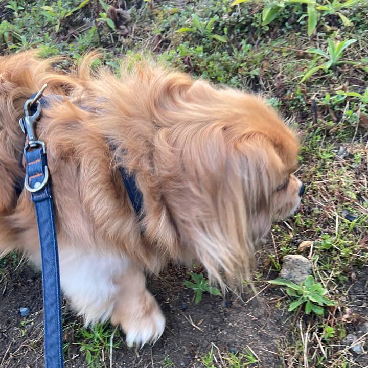 7ed44e95 a512 4912 81f5 b34914db7c87 1583358805011