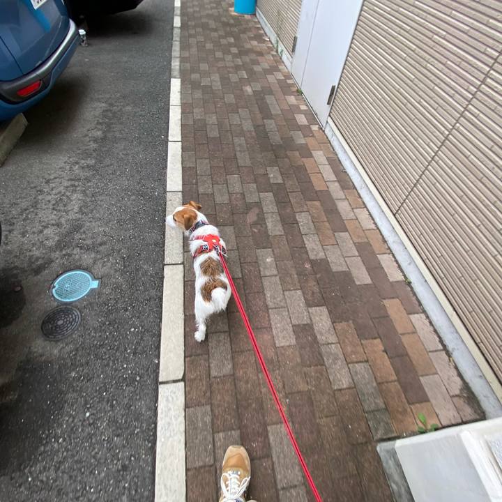 7ed46192 98a7 47bb 8582 c1ae8bc3dfe6 1663553231045