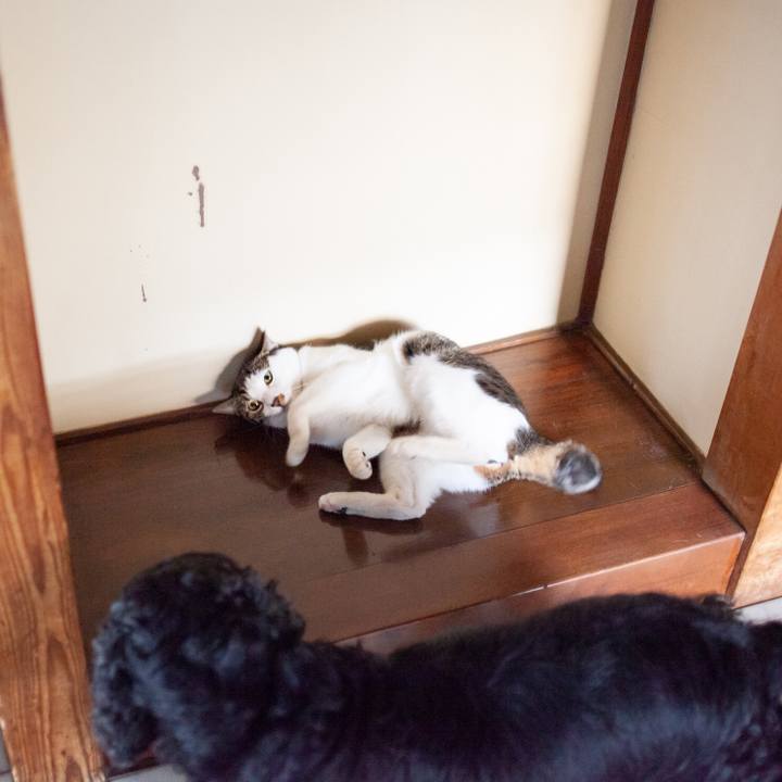 7ed468ce 15e4 4bd5 9462 58fd8f15cb93 1549290920346