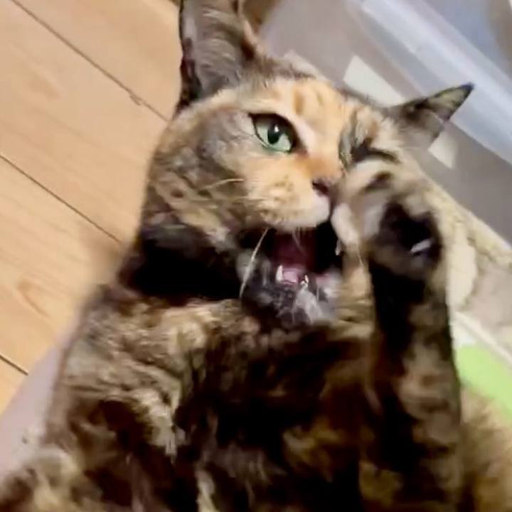 7ed4a348 0f67 4f1b 9dc4 4ecd13f8c794 1771488588001