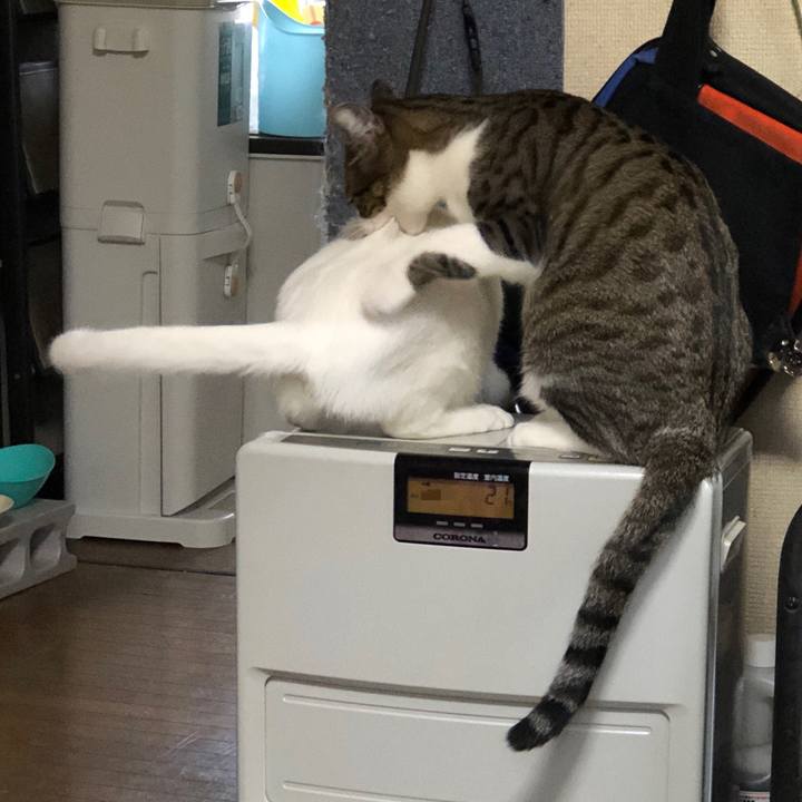 7ed50b54 cb1b 4dde b90a 7a96339abadf 1579048547708