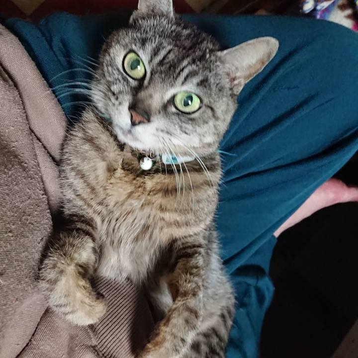 7ed51160 47ac 4eb1 bbdd ee47ef71829c 1557828932194