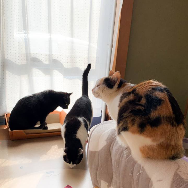 7ed51415 db44 4574 bf1b 48fb8a2efb25 1589681907914