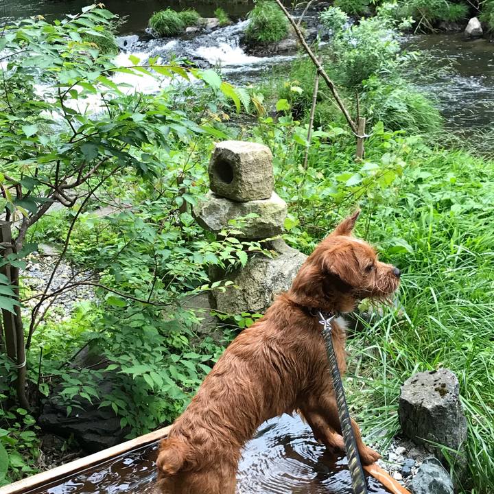 7ed52eb4 c762 4d6d 95ca 2844b8a785f8 1529065556248