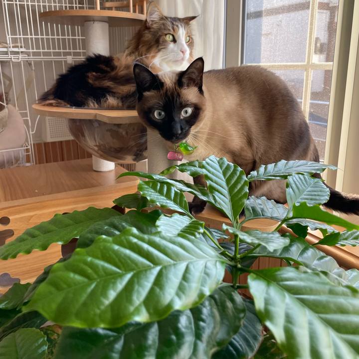 7ed5a252 0d36 4e8e 8bb2 7efe194d9811 1746049095320