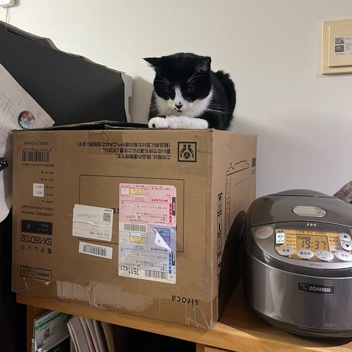 7ed5ba06 cd3e 4095 a96b 09049431274e 1705412570267