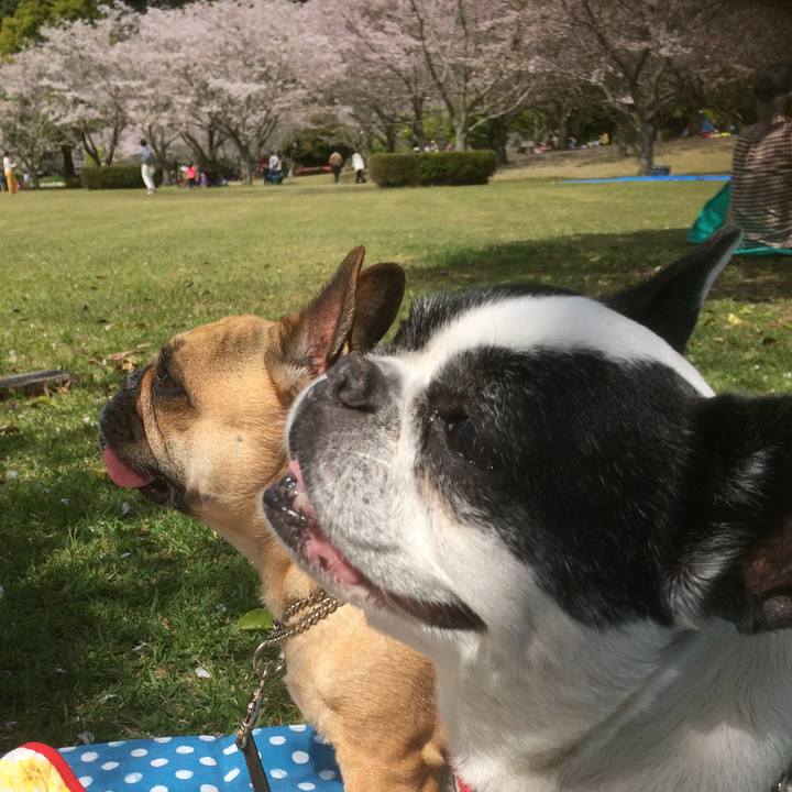 7ed5c41f c211 4036 8212 689901f43807 1554622696918