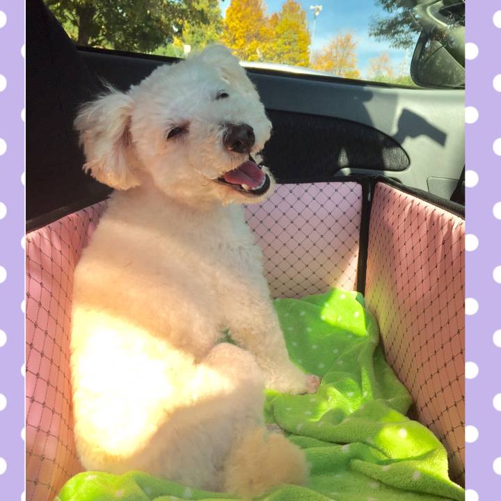 7ed5d9e6 96da 43d6 b45a 3bc64abe047f 1511876995388