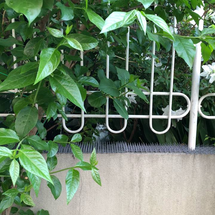 7ed5eb97 7844 4693 ad21 faec8c3ea321 1524066743679