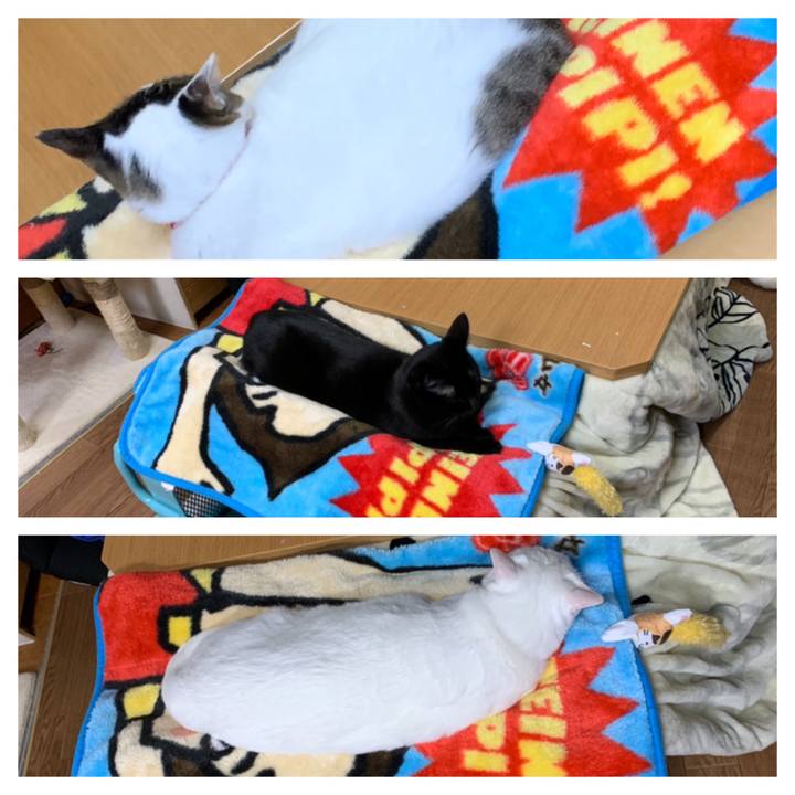 7ed618c0 d8a3 462f bbe6 c6e6eb01822d 1573994978095