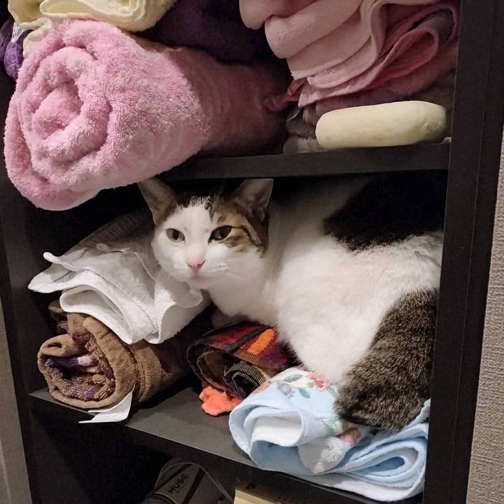 7ed68d91 71cd 403d 889e d8c0e6119c5e 1763175578177