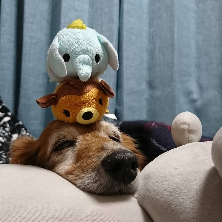 7ed69df8 75c4 49cf b3b5 02d9cbdd0473 1517837967621