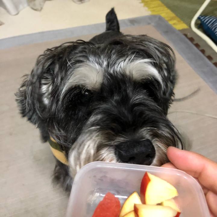 7ed6a5b3 92e7 44b0 9b41 15f597917e2d 1627310878142