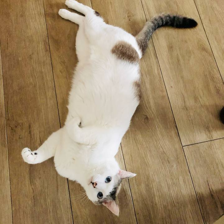 7ed6d19c c9ef 4aae b75e 4e6922424b64 1656203460872