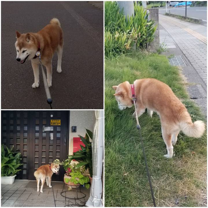 7ed6ed4f baf3 4160 9cd7 9af0d69a1ef9 1753005340018