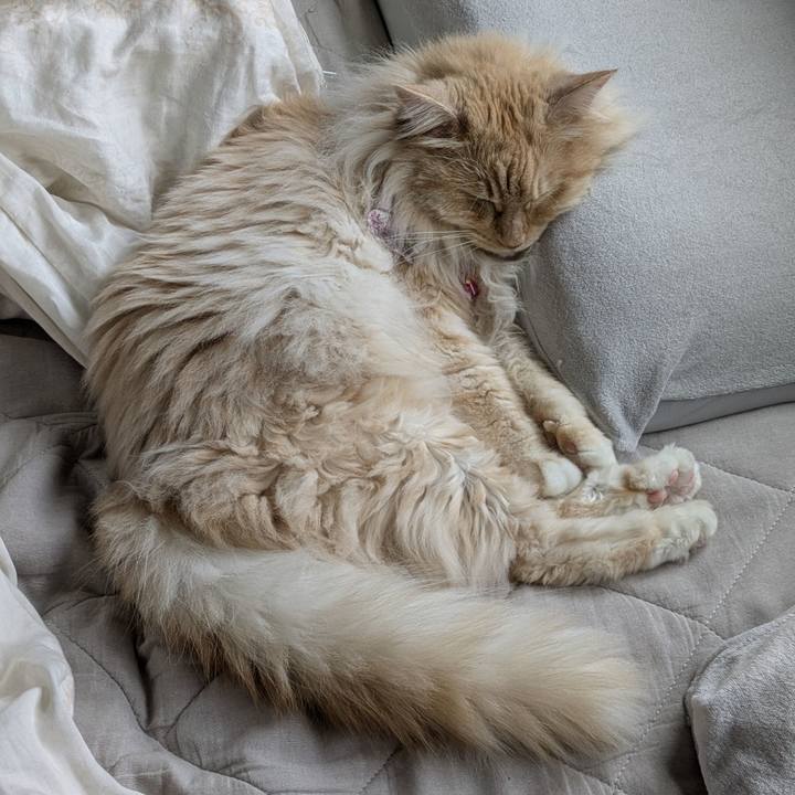 7ed6fbd1 ab0e 41c9 8997 2e84f9e12780 1750898598469