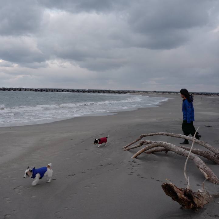 7ed70e26 10c1 4beb 89c0 023e1482f234 1577161508603