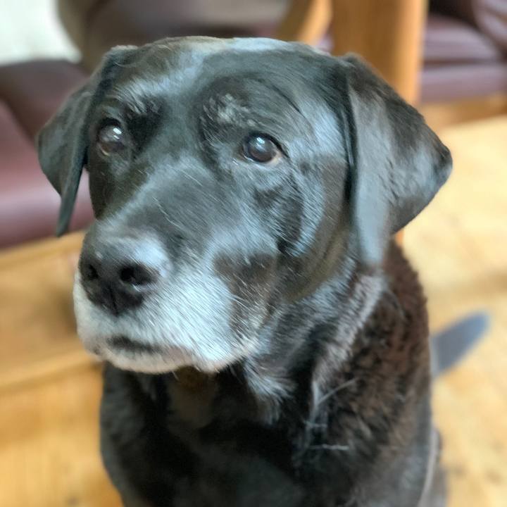 7ed71305 3325 436f 9760 fc1eed7d92ef 1573439657791