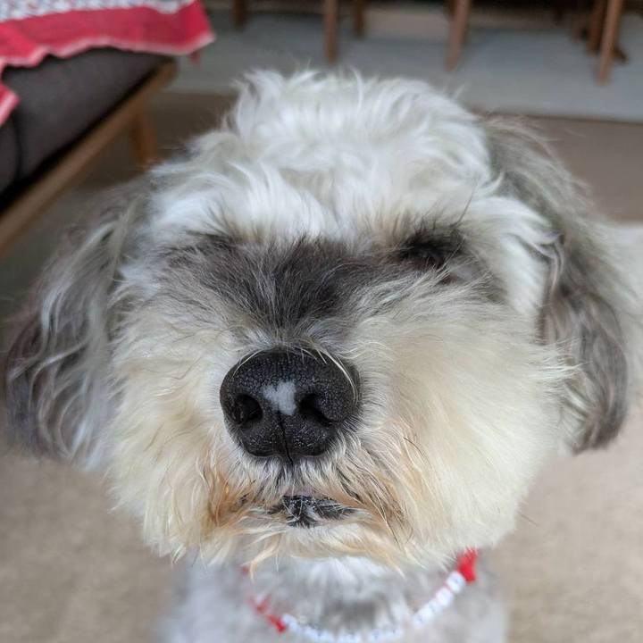 7ed71a97 bd3c 4637 a85b 893390e39196 1755401460490