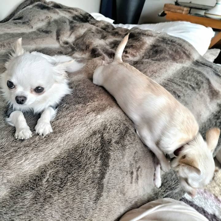 7ed7458f b900 4603 a7ae 485e228b35b8 1747624454666