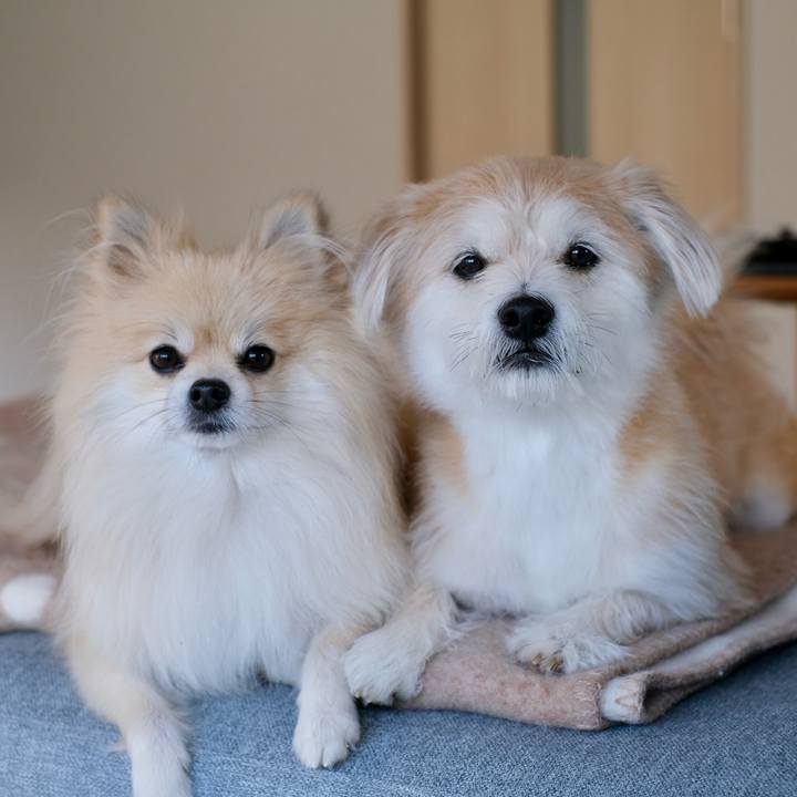 7ed74ce6 abcc 4860 9fa2 54dee6a2b890 1760134634852