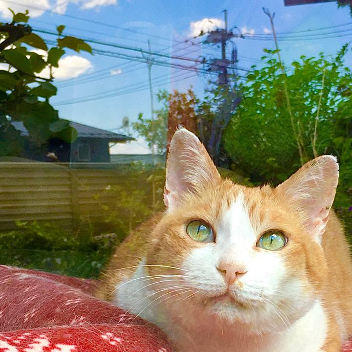 7ed79d3b b72c 4a4b 8dd3 6e1e9aec47f8 1590808661682