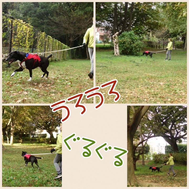 7ed7da96 0484 4a2b 8146 4979aec12e99 1667611596763