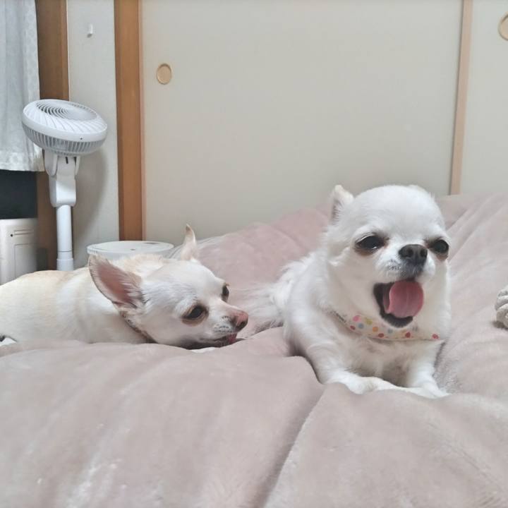 7ed81473 d2ac 4b6f 9d94 9e7f4eb7c8df 1769517759900