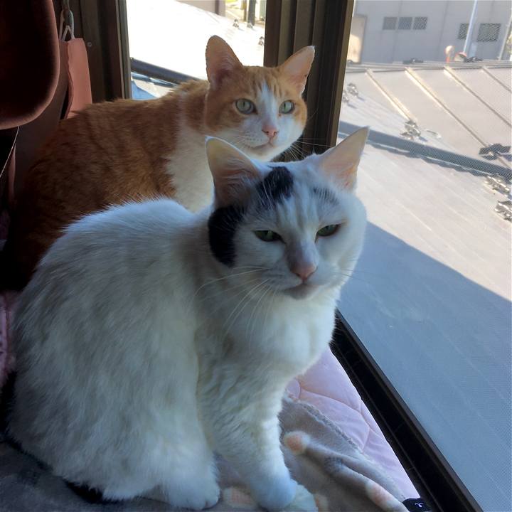 7ed82695 01b0 4916 ac08 7fe5f1372606 1622707313143