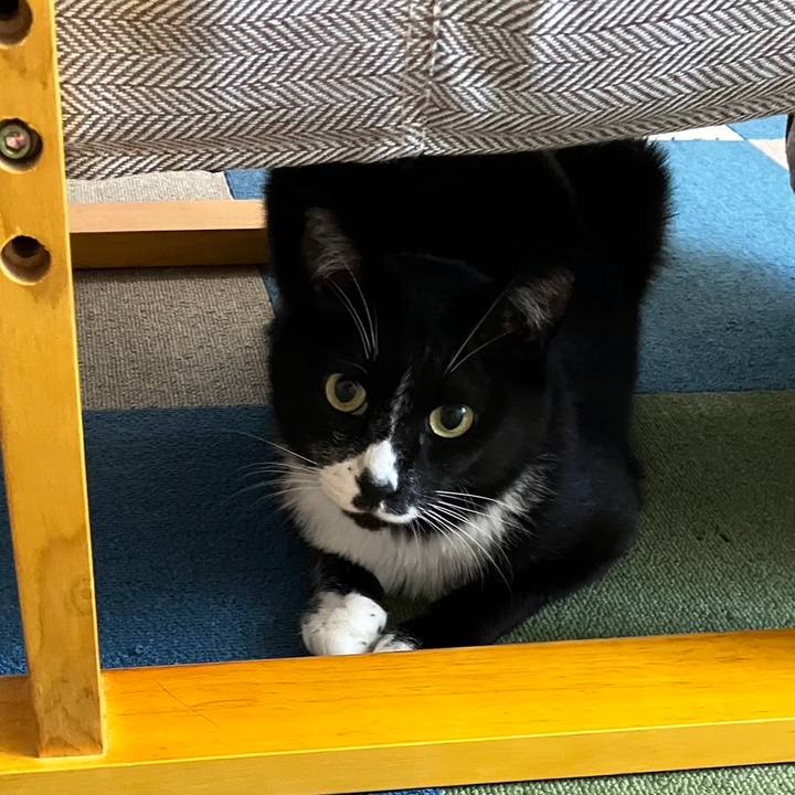 7ed83b8c eac4 48d9 9dbf 38026d288afb 1724643163111