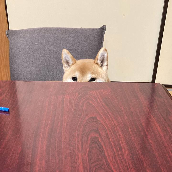 7ed83fff 26b8 4717 b969 85eca6adc8c8 1645232947561