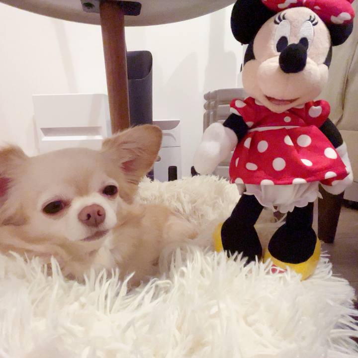 7ed84075 4b84 4004 9d83 e762e95e089d 1752240261391