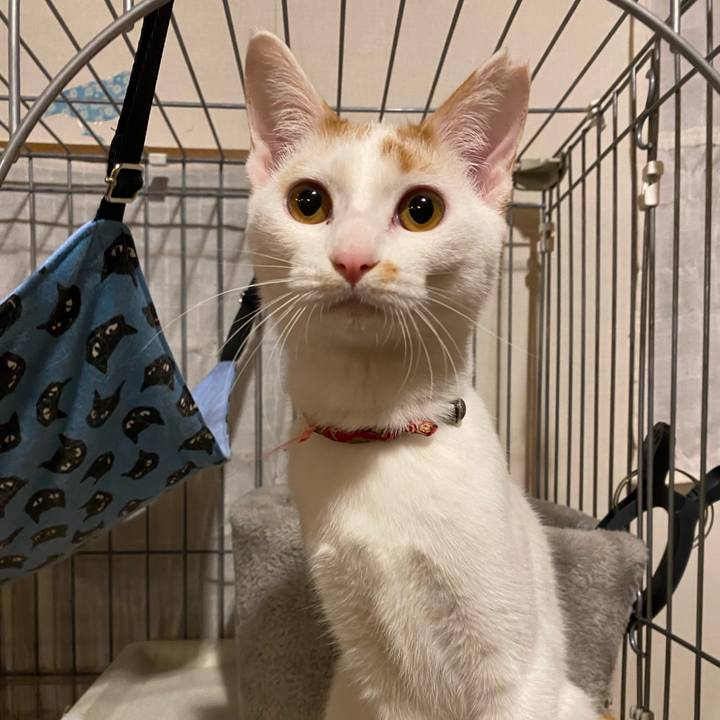 7ed887fd 479a 4c79 be5d 9f92f5601754 1761995232612