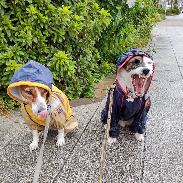 7ed8e6ed 787d 4d7d 8b12 e79edd6dc97f 1633040422910