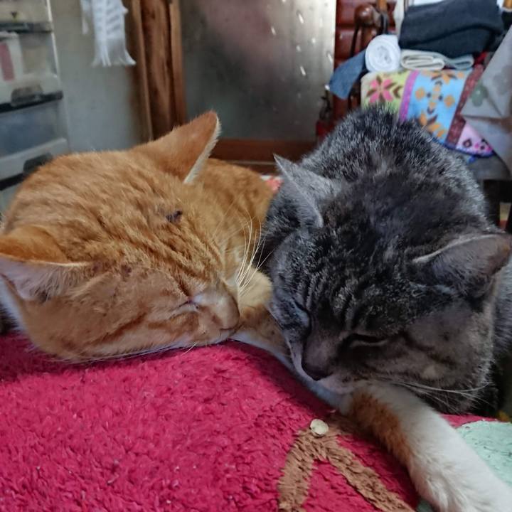 7ed9053b 7492 453f 92d6 8072b5035ece 1550815585227