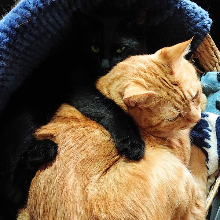 7ed91459 bb6c 452e 99cc 3509711012f7 1555043344486