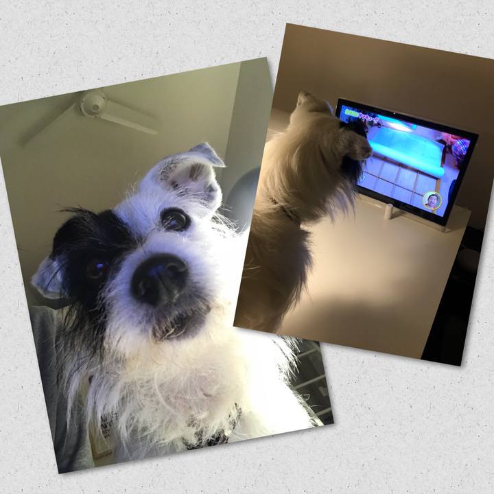 7ed92b03 d677 44c7 ae54 17045be3ec01 1525860509868