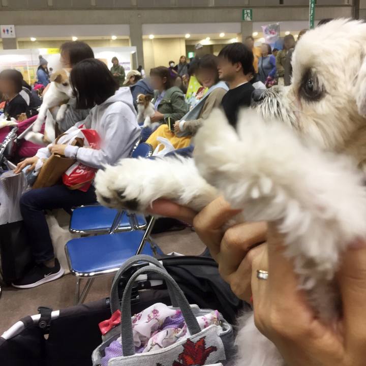 7ed932c4 87d5 45dd a711 8ad4d9eb9c91 1554019295068