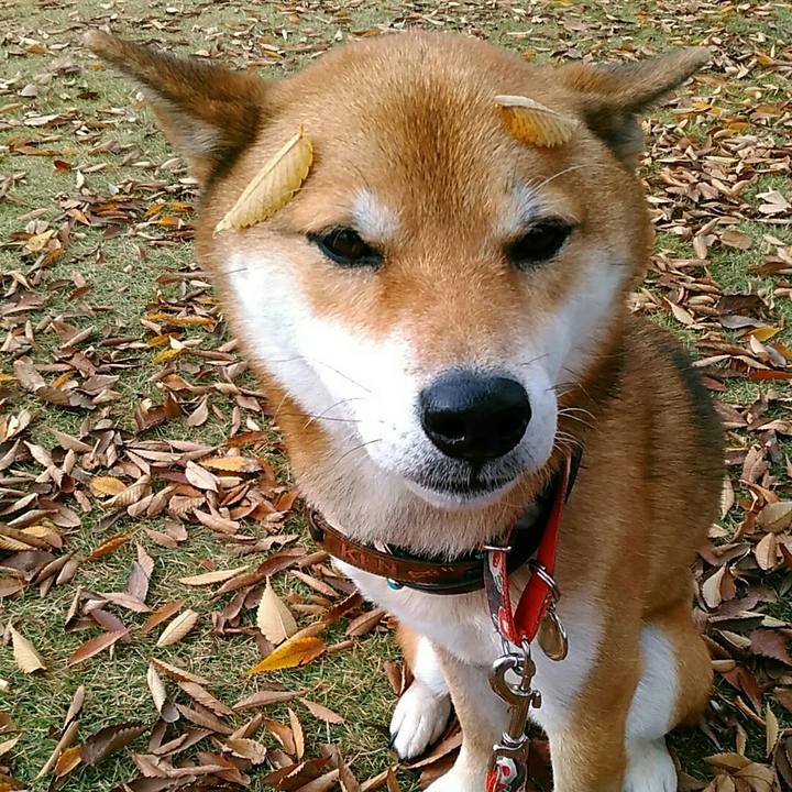 7ed93a8f 87b4 4098 8069 2822c1c44ec4 1542069112020