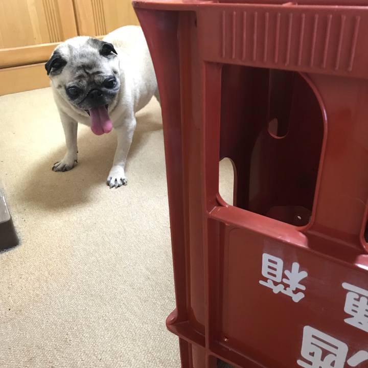 7ed9658f ed4f 4df4 a72e 74e963bd5f17 1532824522046