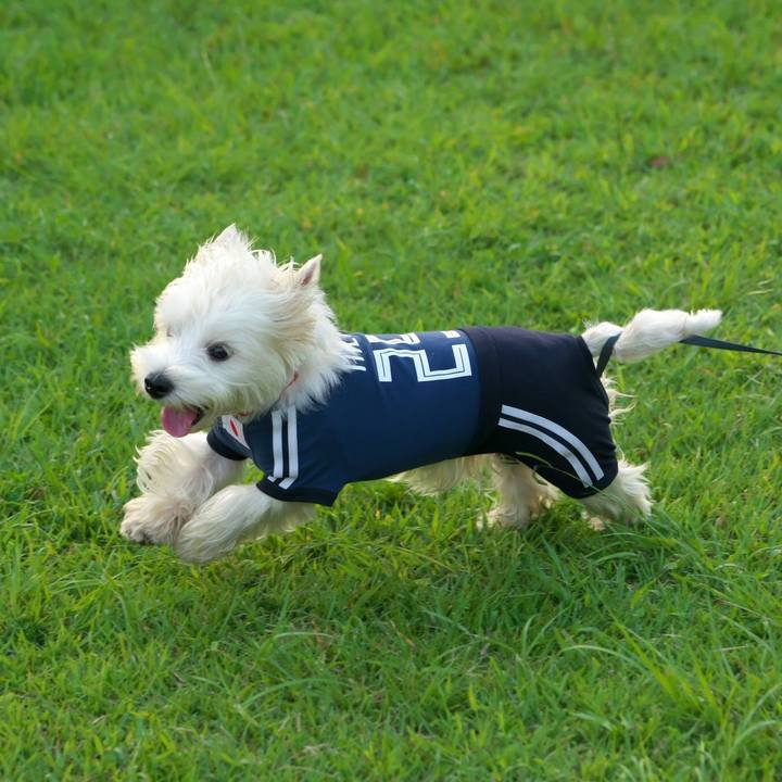 7ed99b55 50ed 47b7 b135 28d61aebbef5 1537101836364