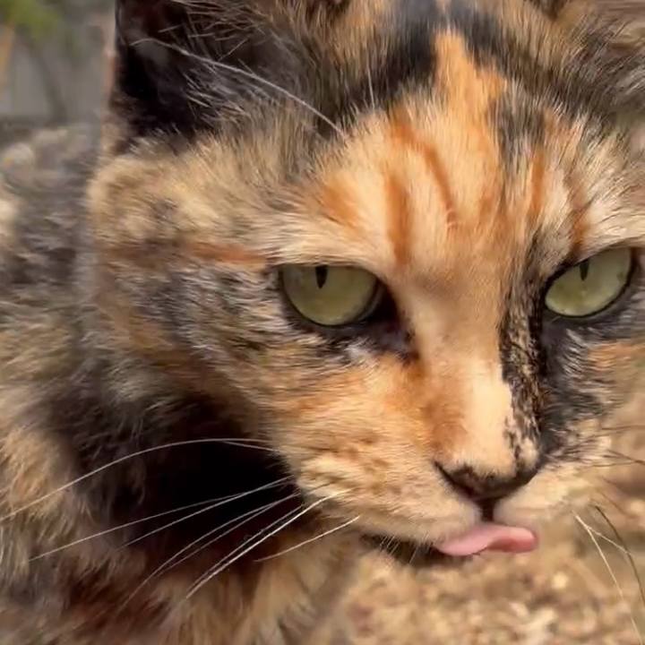 7ed9b11b f227 4deb a6e0 c75a43b70144 1744855485921